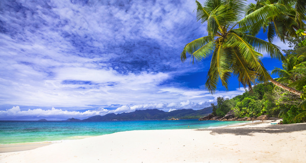 Beautiful blue sky, white clouds, sandy beach, coconut trees, mountains