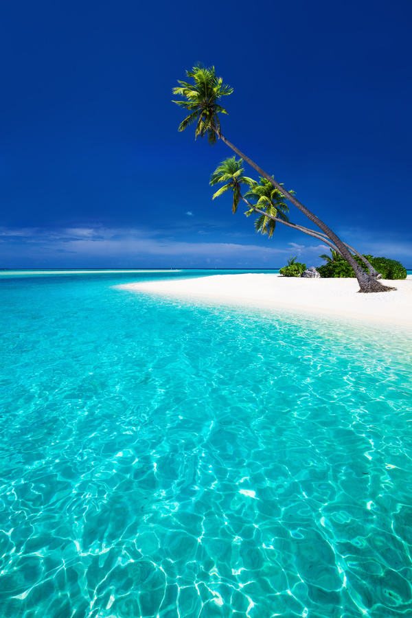 Beautiful blue sky with coconut trees on the beach