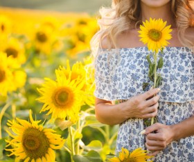Beautiful girl with sunflowers Stock Photo 07
