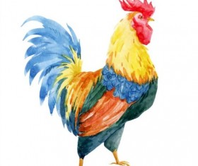 Beautiful watercolor rooster vector