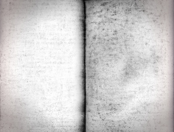 Blank pages of old book textures