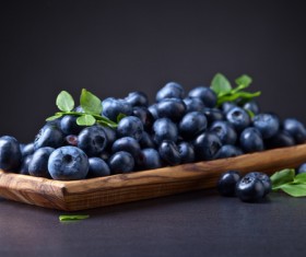 Blueberries on black background Stock Photo 05