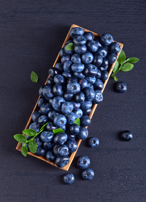 Blueberries on black background Stock Photo 07