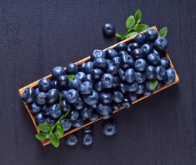 Blueberries on black background Stock Photo 08
