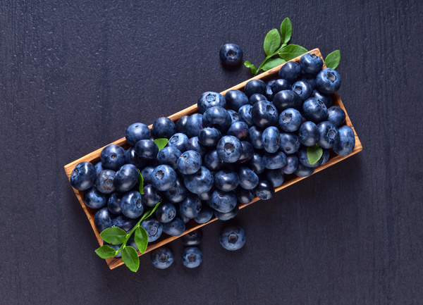 Blueberries on black background Stock Photo 08