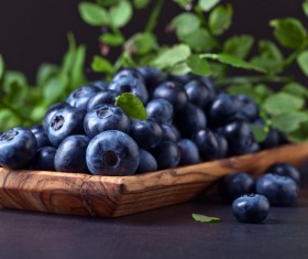 Blueberries on black background Stock Photo 09