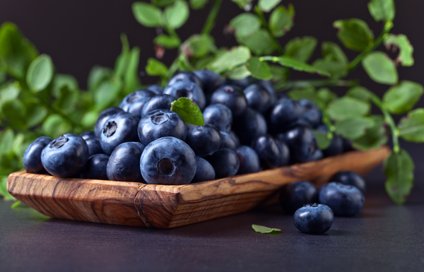 Blueberries on black background Stock Photo 09