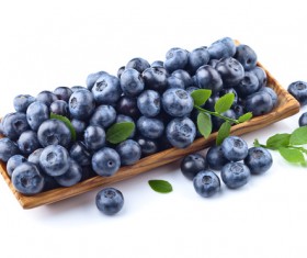 Blueberries on white background HD picture 03