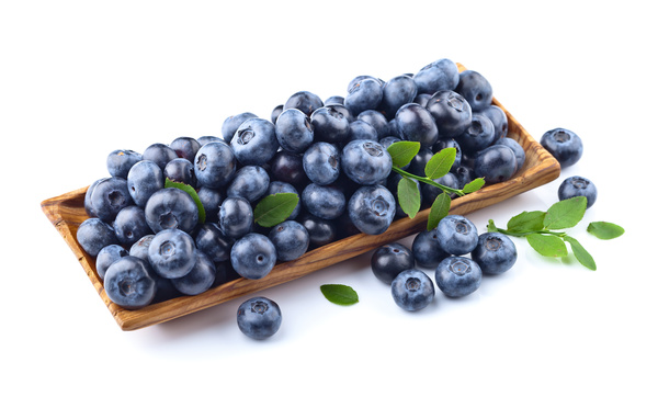 Blueberries on white background HD picture 03