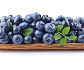 Blueberries on white background HD picture 04