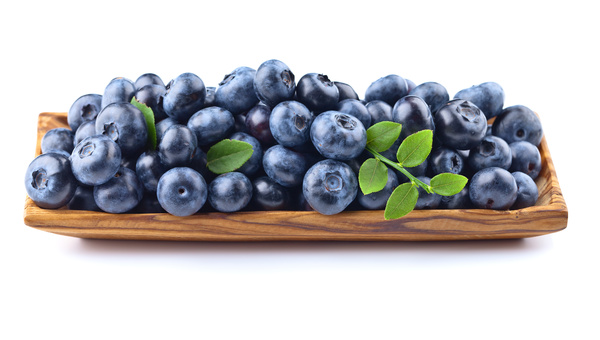 Blueberries on white background HD picture 04