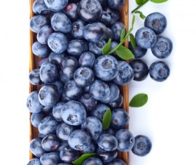 Blueberries on white background HD picture 05