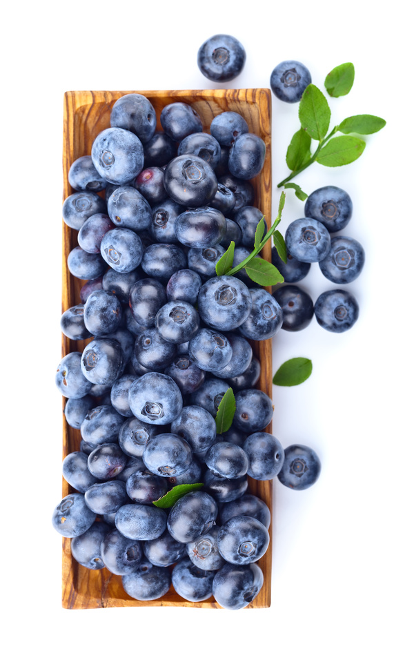 Blueberries on white background HD picture 05