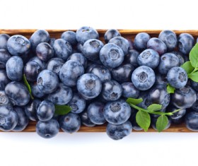 Blueberries on white background HD picture 07