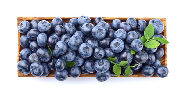 Blueberries on white background HD picture 07