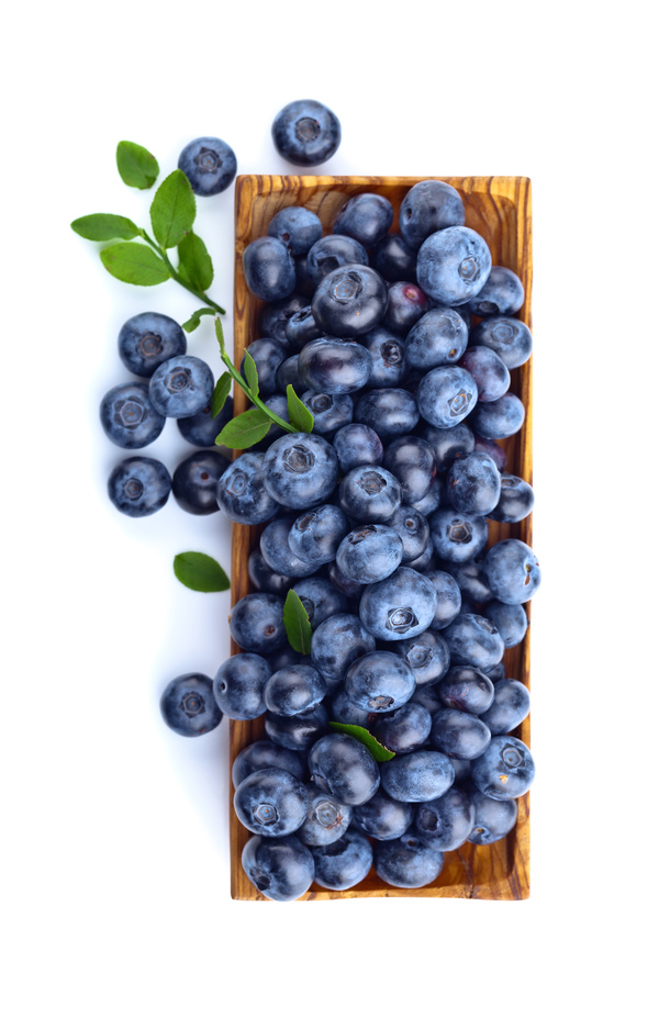 Blueberries on white background HD picture 08