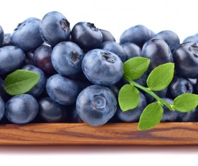 Blueberries on white background HD picture 09