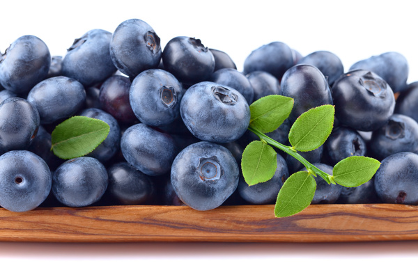 Blueberries on white background HD picture 09