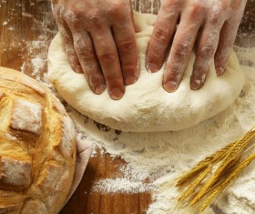 Bread on T and table and kneaded bread HD picture 02