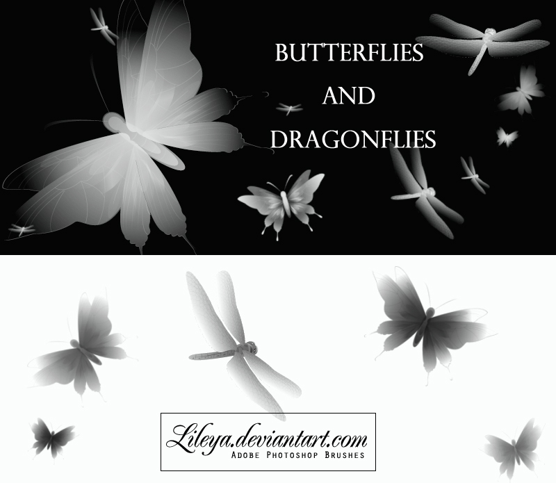 Butterflies and dragonflies photoshop brushes