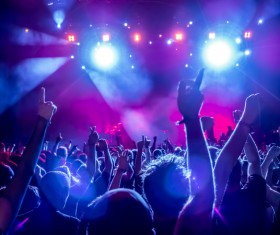 Cheering crowd at a rock concert HD picture 01