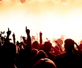 Cheering crowd at a rock concert HD picture 04