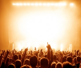 Cheering crowd at a rock concert HD picture 05