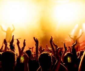 Cheering crowd at a rock concert HD picture 07