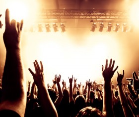 Cheering crowd at a rock concert HD picture 09