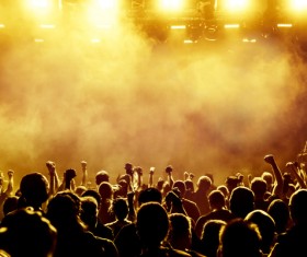 Cheering crowd at a rock concert HD picture 11