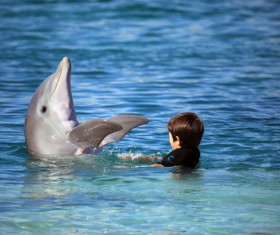 Children playing with the dolphins in the water