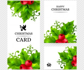 Christmas holly cards design vector 01