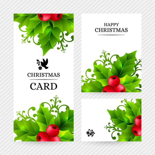 Christmas holly cards design vector 01