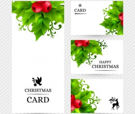 Christmas holly cards design vector 02