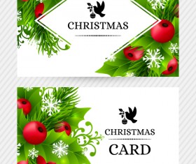 Christmas holly cards design vector 04