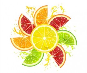 Citrus fruits with flower vector
