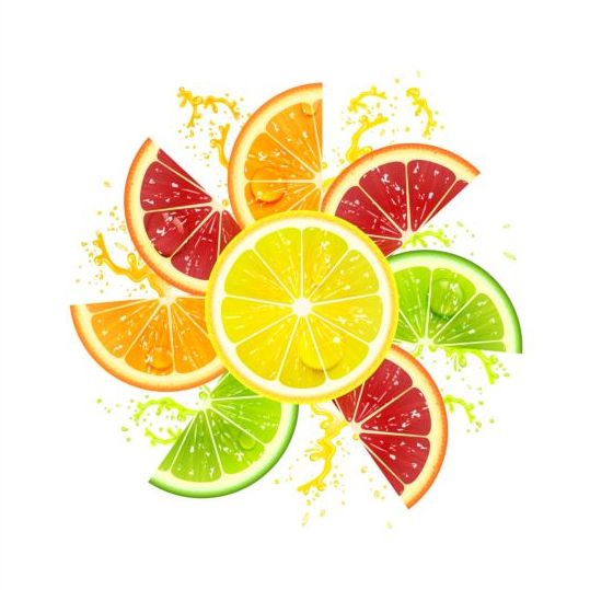 Citrus fruits with flower vector