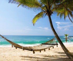 Coconut Beach hammock with sea background Stock Photo