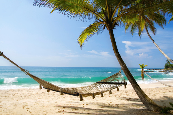 Coconut Beach hammock with sea background Stock Photo