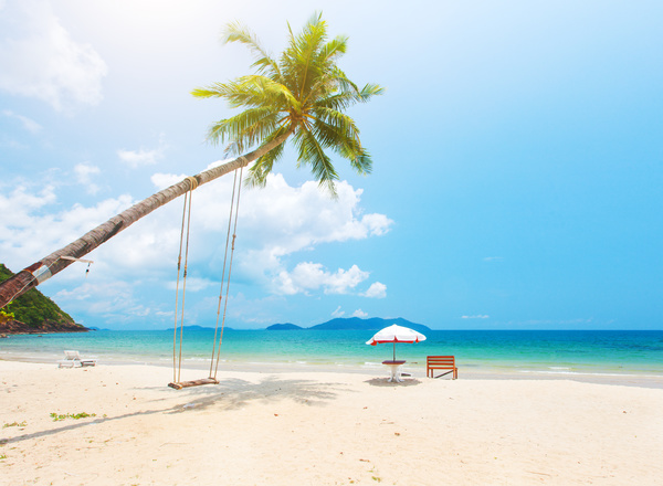Coconut tree swings and parasols