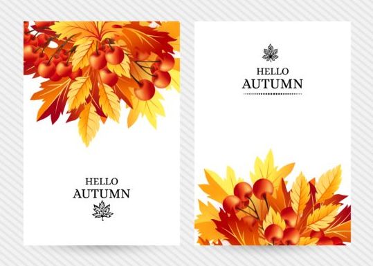 Cover brochure autumn style vector