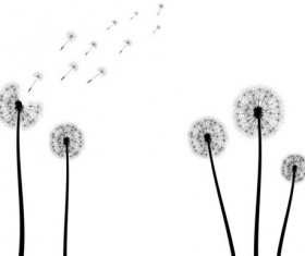 Dandelion black vector illustration 02