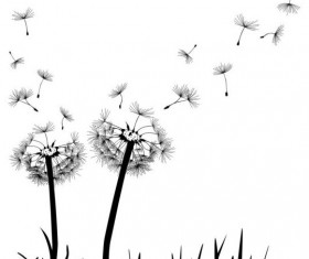 Dandelion black vector illustration 03