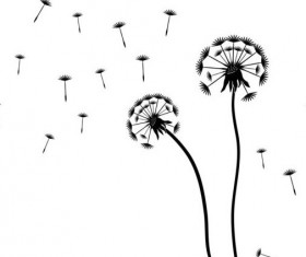 Dandelion black vector illustration 04