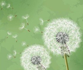 Dandelion with green grunge background vector 01