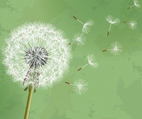 Dandelion with green grunge background vector 02