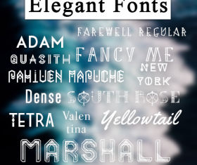 Elegant fonts pack