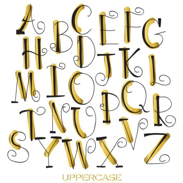 Elegant uppercase alphabet hand drawn vector