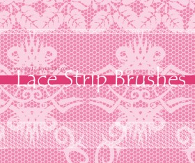 Fansy Lace PS Brushes