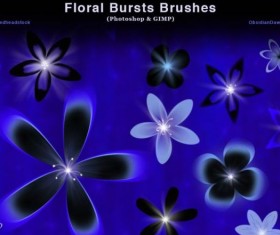 Floral Bursts Photoshop Brushes